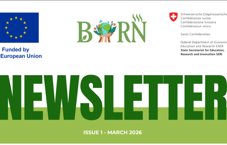BORN - newsletter