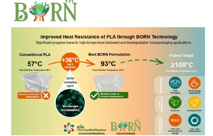 BORN project completes its first year: advancing sustainable materials for the future of food packaging